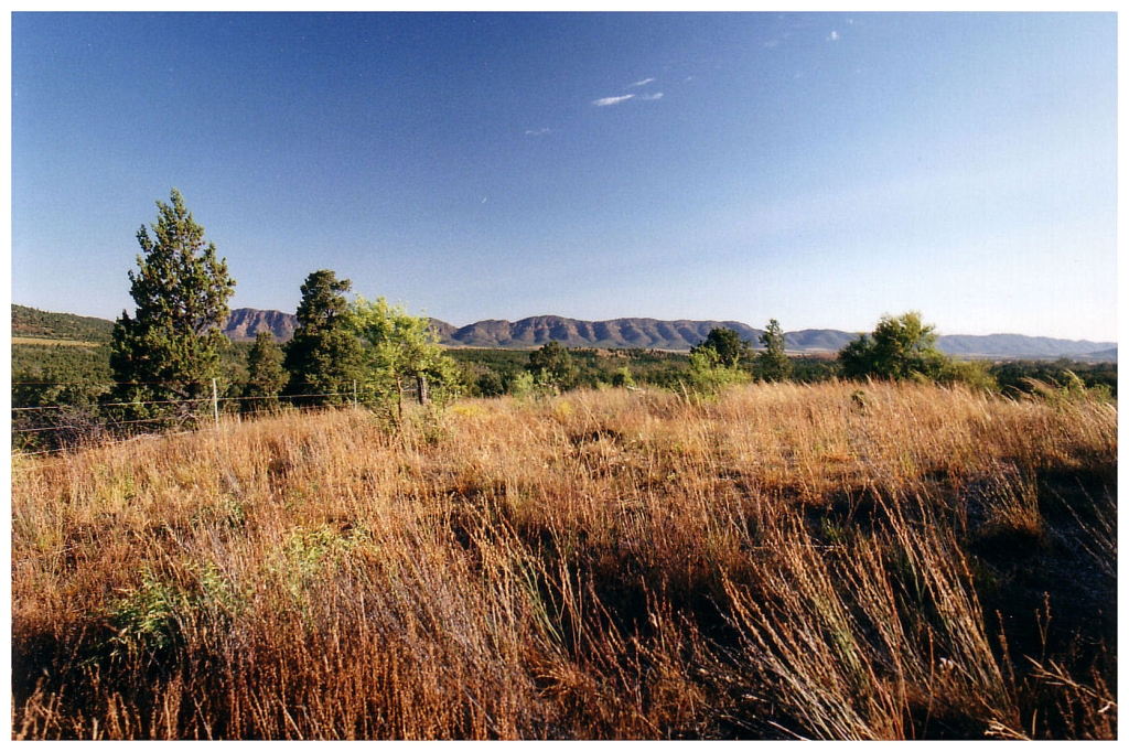 03 - The Flinders Ranges (11).jpg